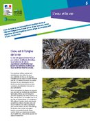 Cover20140611-867-1lh7l4r