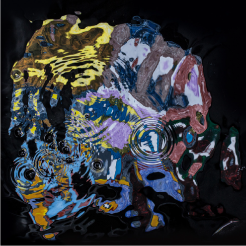 L'exposition "L'inconscient déplié" photographies Nicolas ROGER L'exposition "L'inconscient déplié" photographies Nicolas ROGER