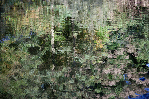 L'exposition "Réflexions sur l'eau" photographies Nicolas ROGER L'exposition "Réflexions sur l'eau" photographies Nicolas ROGER