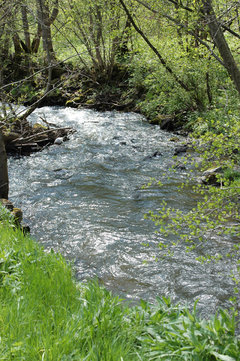 L'énergie la moins chère est celle que l'on ne dépense pas...